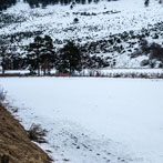Scotland Spring 2018 - Cairngorms